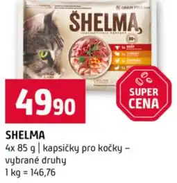 Terno Shelma nabídka