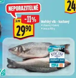 Albert Mořský vlk kuchaný nabídka