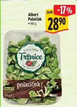 Albert Albert Polníček nabídka