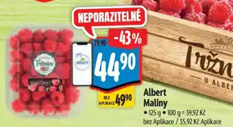 Albert Albert Maliny nabídka