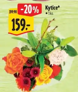 Albert Kytice nabídka