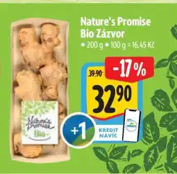 Albert Nature's Promise Bio Zázvor nabídka