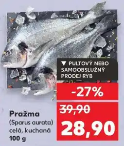 Kaufland Pražma (Sparus aurata) nabídka