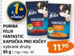 Terno Purina felix fantastic kapsička pro kočky nabídka