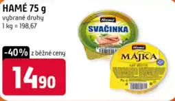 Terno Hamé nabídka