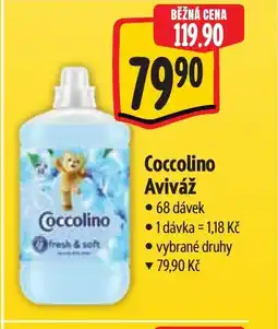 Albert Coccolino Aviváž nabídka