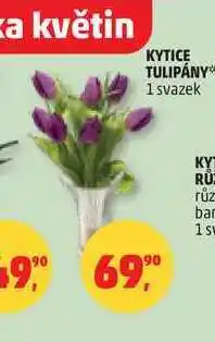 Penny Market KYTICE TULIPÁNY, 1 svazek nabídka