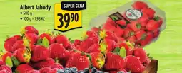 Albert Albert Jahody nabídka
