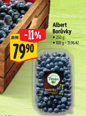 Albert Albert Borůvky nabídka