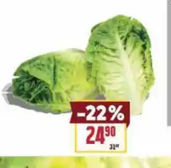 Billa Salát nabídka