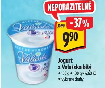 Albert Jogurt z Valašska bílý nabídka