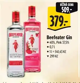 Albert Beefeater Gin nabídka