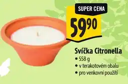 Albert Svíčka Citronella nabídka