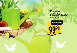 Albert Konvička s růžicí plastová nabídka