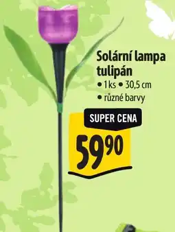 Albert Solární lampa tulipán nabídka