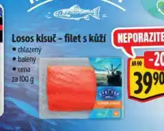 Albert Losos kisuč nabídka