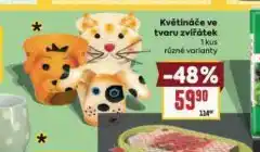 Billa Květináče ve tvaru zvířátek nabídka