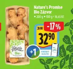 Albert Bio zázvor nabídka