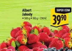 Albert Jahody nabídka