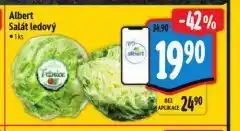 Albert Salát ledový nabídka