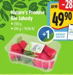 Albert Bio jahody nabídka