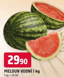 Trefa Meloun vodní nabídka