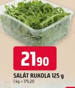 Trefa Salát rukola nabídka