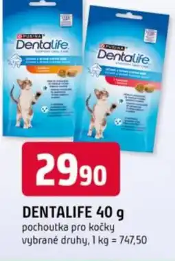 Trefa Dentalife nabídka