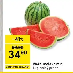 Tesco Vodní meloun mini nabídka