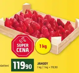 Terno Jahody nabídka