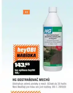 OBI HG odstraňovač mechů nabídka