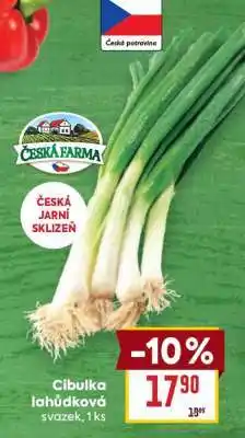Billa CIBULKA LAHŮDKOVÁ nabídka
