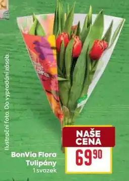 Billa Bonvia Flora Tulipány nabídka