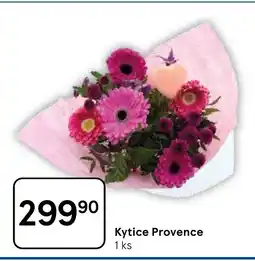 Tesco Kytice Provence nabídka