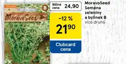 Tesco MoravoSeed Semena zeleniny a bylinek B nabídka