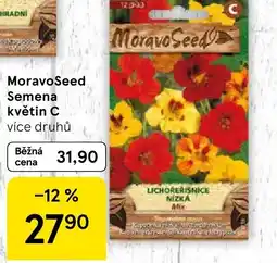 Tesco MoravoSeed Semena květin C nabídka