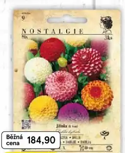 Tesco Cibuloviny jarní Nostalgie nabídka