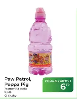 Tamda Foods Paw Patrol Peppa Pig Pramenita voda nabídka