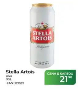 Tamda Foods Stella Artois pivo nabídka