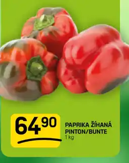 Flop Paprika žíhaná pinton/bunte nabídka
