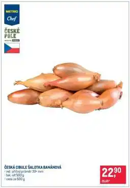 Makro ČESKÁ CIBULE ŠALOTKA BANÁNOVÁ nabídka