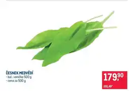 Makro Česnek medvědí nabídka