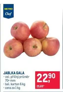 Makro JABLKA GALA nabídka