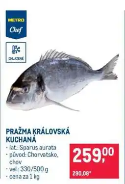Makro Pražma královská kuchaná nabídka