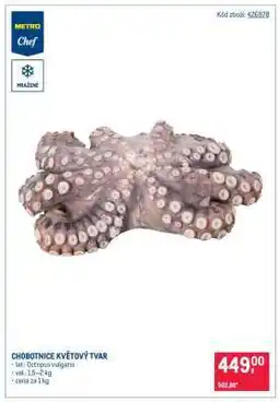 Makro Chobotnice květový tvar nabídka