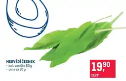 Makro Medvědí česnek nabídka