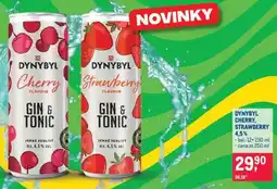 Makro DYNYBYL CHERRY, STRAWBERRY 4,5% nabídka