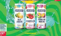 Makro AMUNDSEN BLUE LAGOON, COSMOPOLITAN, PORNSTAR MARTINI nabídka