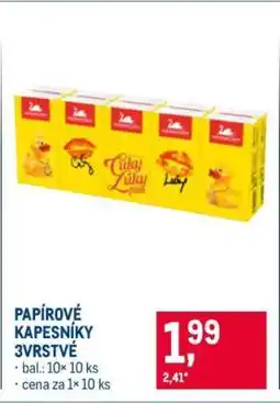 Makro Papírové kapesníky 3vrstvé nabídka