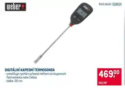 Makro DIGITÁLNÍ KAPESNÍ TERMOSONDA nabídka